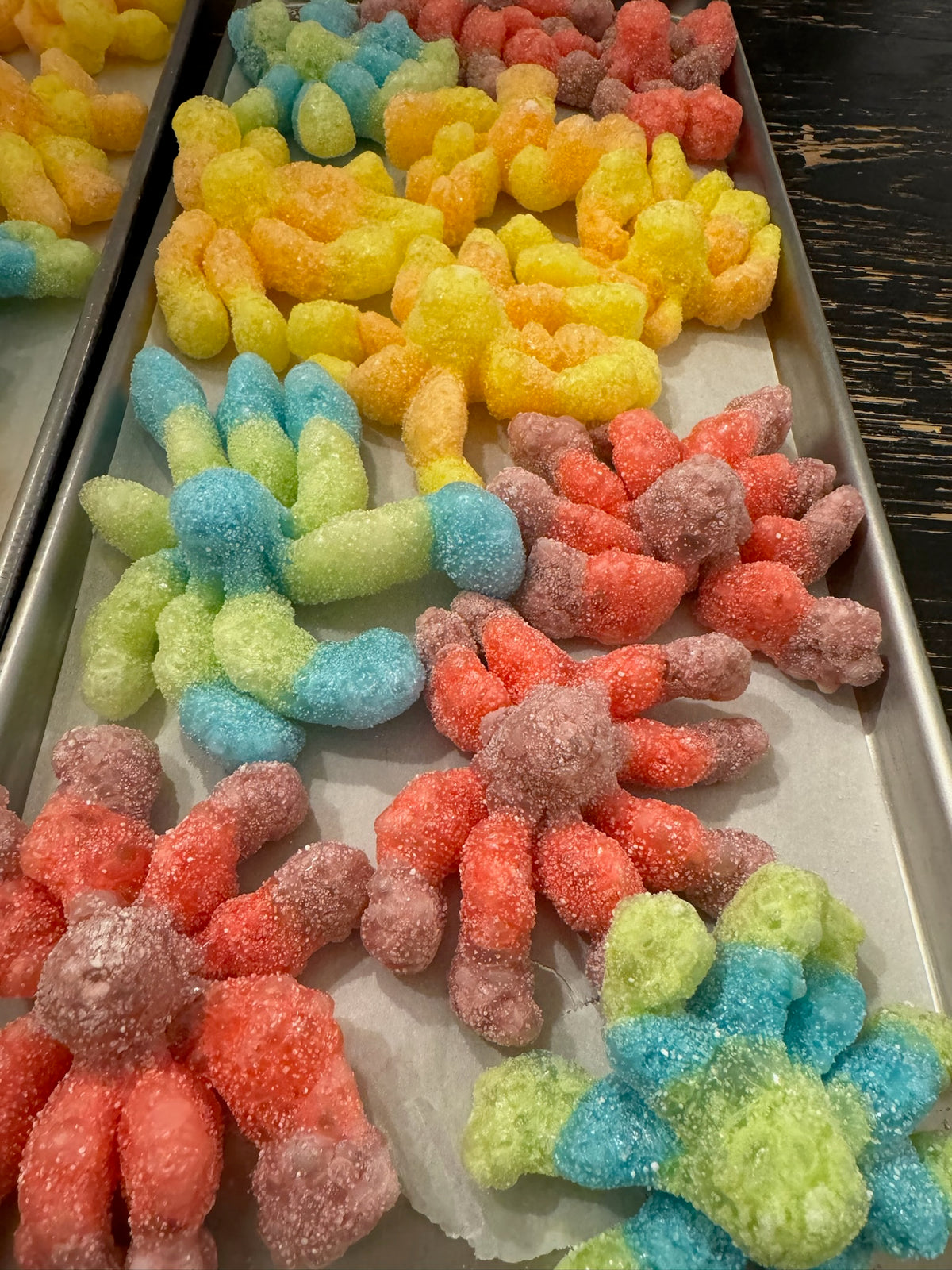 Octopus Candy single