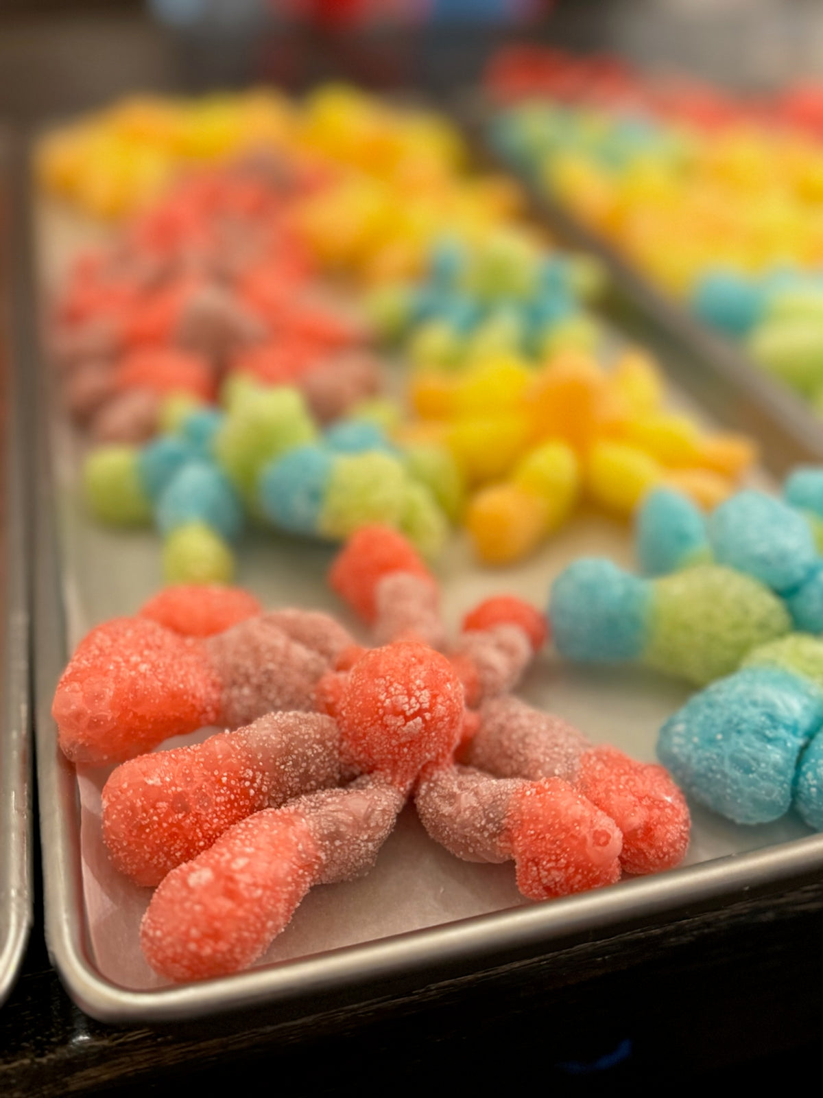 Octopus Candy single